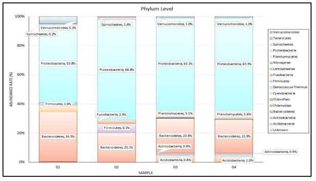친환경 고효율 슬러지의 갯벌 및 순응기간 시료간의 미생물 군집 분석 (Phylum 수준) 1:일반갯벌(시료1), 2:균주와 갯벌 순응 시료 (시료2), 3:슬러지화 시료 (시료3), 4:슬러지화 2주 시료 (시료4)