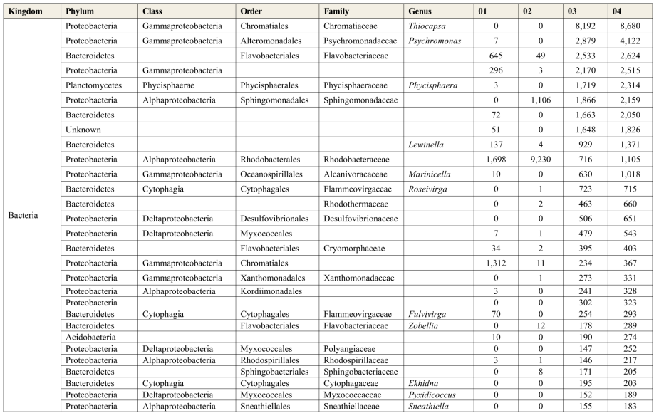 갯벌 및 친환경 슬러지 내 미생물 군집의 분석에 따른 분포 시료 04를 기준으로 상위 Genus (단위; Count 수)