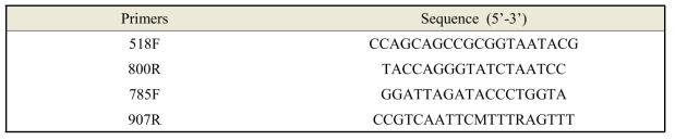 16s rRNA gene analysis를 위한 Primer 정보