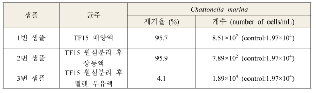 TF15의 샘플 별 Chattonella marina 살조 효율(%)