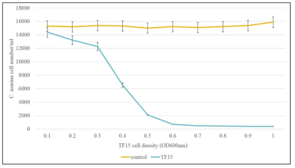 TF15의 농도 (O.D 600nm)에 따른 Chattonella marina 살조효율 그래프