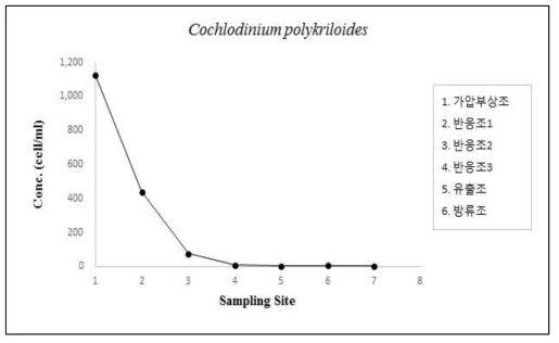 적조방제 시스템의 C. polykriloides에 대한 효율 평가(시스템 운전에 따른 C. polykriloides의 조류 계수 결과)