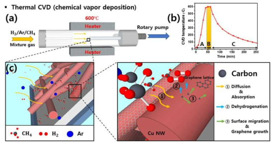 Cu NW 표면에 그래핀을 형성하기 위한 Thermal CVD 공정 모식도