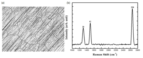 본 연구진에서 성장한 그래핀의 (a) 광학 현미경 이미지 및 (b) 라만 분광 결과