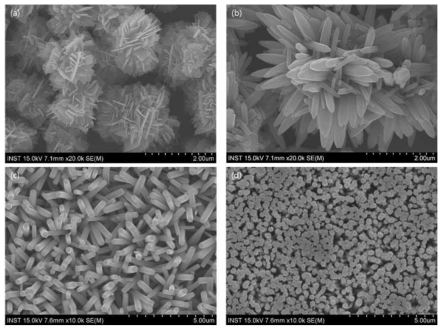 Reflux (a), (b)과 Hydrothermal (c), (d) 합성법을 이용한 ZnO 나노 구조물의 SEM 이미지