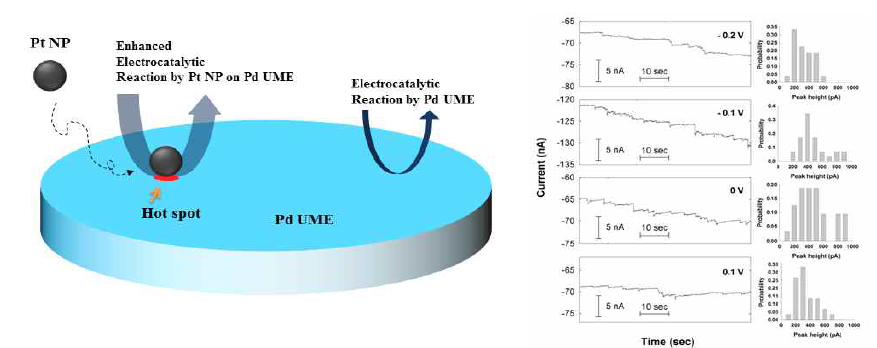 팔라듐(Pd) 전극에서 백금 나노입자의 촉매특성 증가현상 신호 관찰