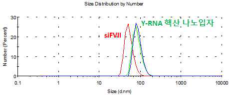 DLS 분석을 통한 Y-RNA 나노입자 크기 측정