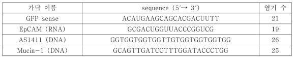 siRNA와 앱타머의 sequence