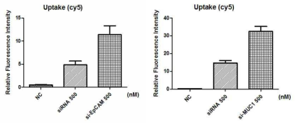 특정 세포를 이용한 앱타머의 세포내 전달 효율 비교 si-EpCAM (KATO iii 세포)(좌), si-MUC1 (MCF7 세포) (우)