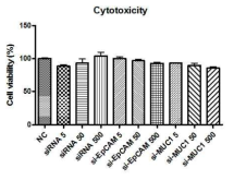 EZ-cytox kit를 이용한 apta-siRNA의 독성 평가