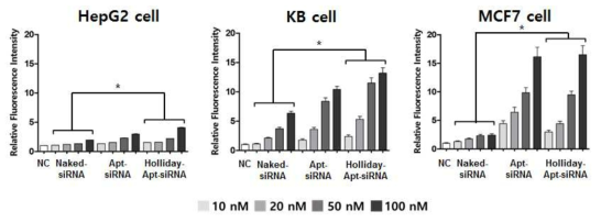 Aptamer와 나노 구조체를 이용한 siRNA 전달 효과 비교