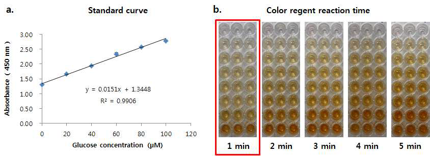 Glucose standard curve와 발색 정도 a, Glucose assay kit을 이용해 glucose 농도별 absorbance(450 nm)를 standard curve로 제작; b, 발색시약 처리 후 시간에 따른 발색 정도의 차이