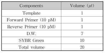 Real-time PCR 조성