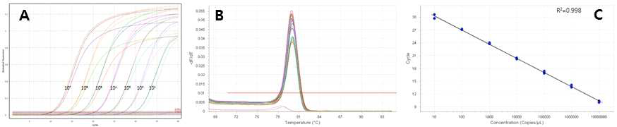 Mic real-time PCR machine의 성능 및 감도 확인 (A) Amplification graph, (B) melting curve, (C) Standard curve