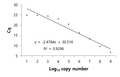 qRT-PCR 결과 얻은 Cq 및 copy number와의 상관관계 분석