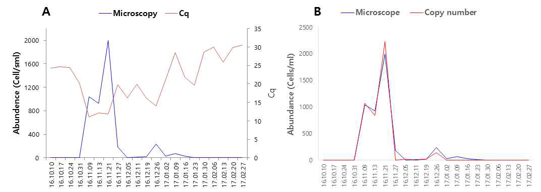 qRT-PCR 결과 얻은 Cq 및 copy number 기반 그래프