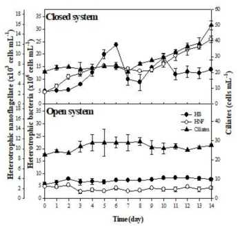 개방형(OS) 및 폐쇄형(CS) 폐쇄생태계에서 타가영양생물(Heterotrophic nano falgellate, Heterotrophic bacteria, ciliates)의 변화