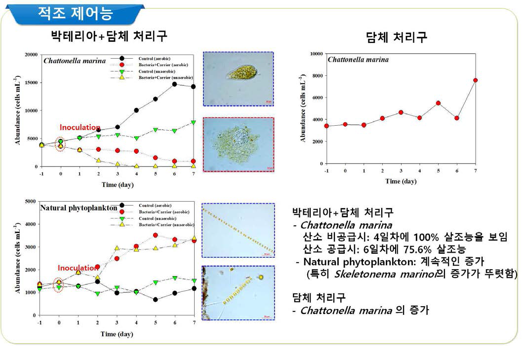 살조세균(Pseudomonas taiwanensis) 담체에 따른 적조생물 Chattonella marina 및 Natural phytoplankton communities의 변화