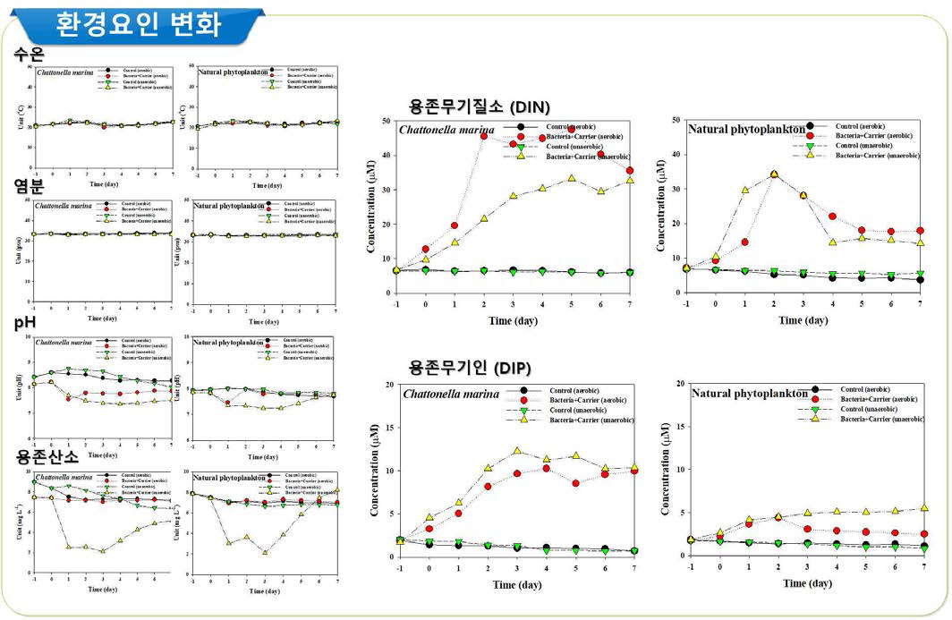 살조세균 Pseudomonas taiwanensis 담체 실험 시 환경요인 및 영양염류의 변화