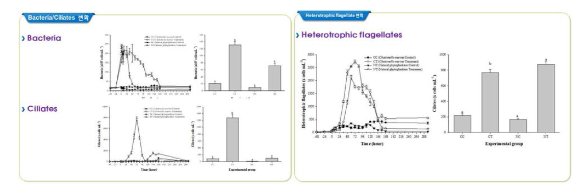 살조세균 Roseivirga sp. (TF15)에 따른 total bacteria, Heterotrophic flagellates, Ciliates의 변화