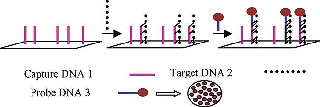 Silica nanoparticle 이용의 원리