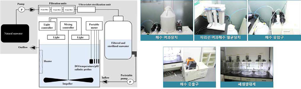 생태학적 현실성 증진을 위한 인공생태계 내 수체 균일화 및 연속 해수 유입/유출 장치