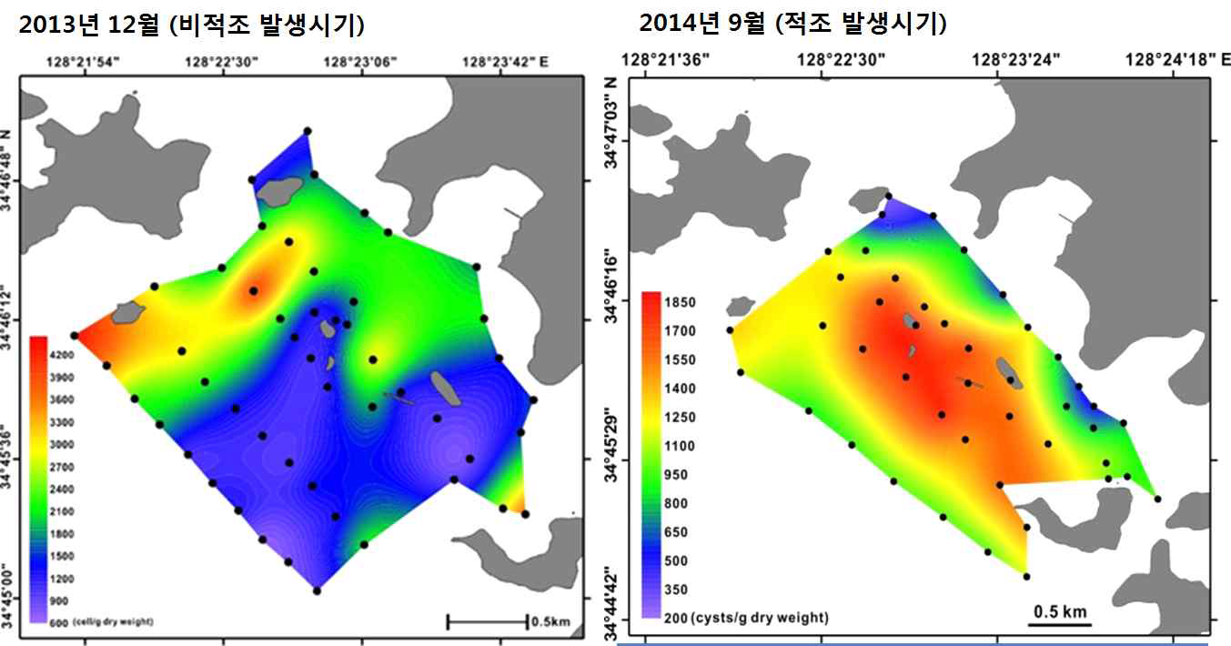 조사해역의 표층 퇴적물에서 관찰된 와편모조류 휴면포자 총 개체수의 분포