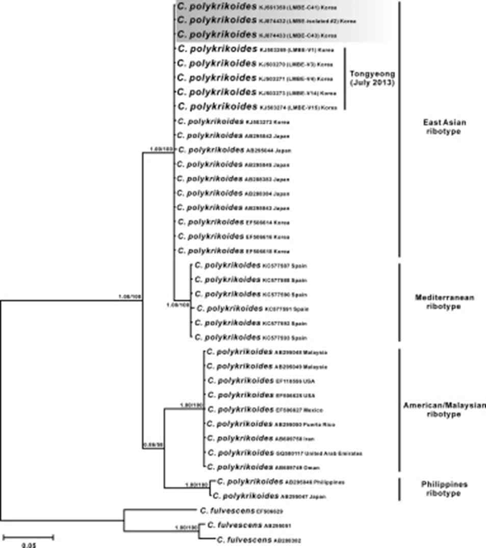Cochlodinium polykrikoides 휴면포자 유전자 분석을 통한 phylogenetic tree