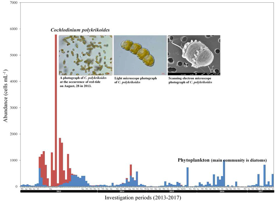 2013-2018년 통영해역에서 식물플랑크톤 군집 및 Cochlodinium polykrikoides의 변화