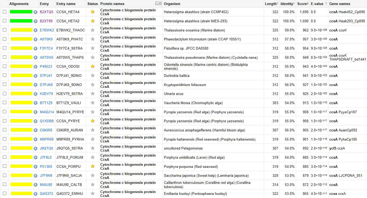 H. akashiwo Cytochrome c biogenesis protein CcsA 단백질 상동성 조사