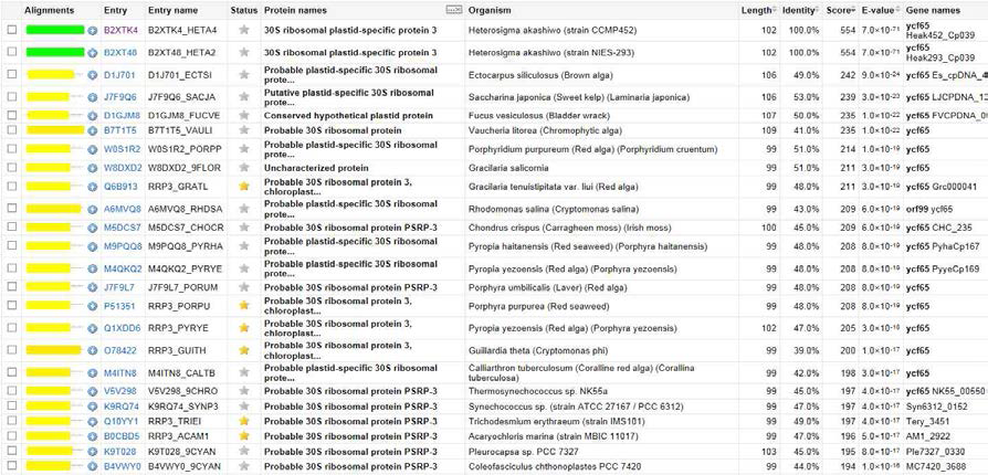 H. akashiwo 30S ribosomal plastid-specific protein 3 단백질 상동성 조사