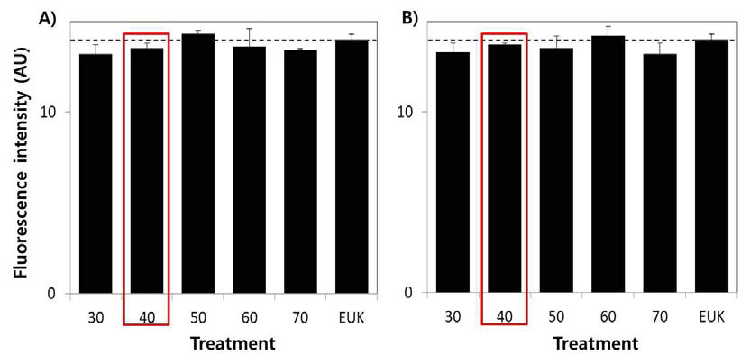 Hybridization buffer 농도 설정 (A, H. akashiwo; B, C. polykrikoides)