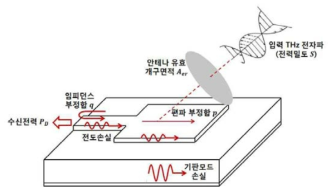 THz파 검출용 안테나의 입, 출력 전력 및 전력 손실