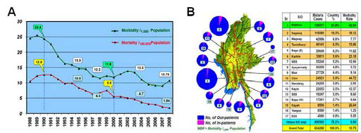 미얀마의 말라리아 현황. (A) 연도별 환자 발생률 및 사망률. (B) 지역별 발생 현황