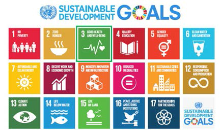 지속가능발전목표(sustainable development goals, SDGs). 초록박스가 보건전략(Goal 3)임