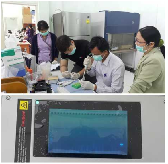 분자적 검사법을 통한 말라리아, 뎅기열 검사 실험 교육