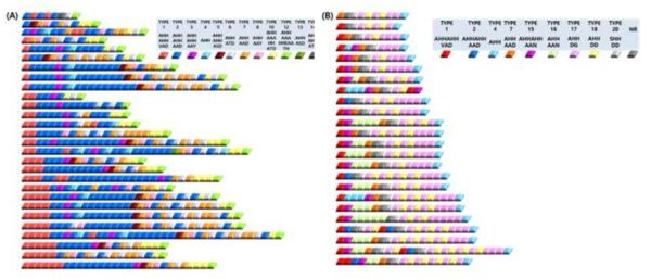 미얀마 열대열원충 pfhrp-2와 pfhrp-3의 구조 분석 결과. (A) pfhrp-2. (B) pfhrp-3