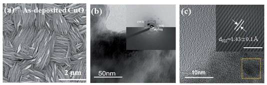 Chemical Bath Deposition 방법으로 성장된 CuO nanosheet bundle 박막 이미지