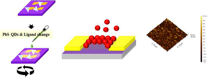 반도체 MoS2 + 양자점을 이용한 소자 제작