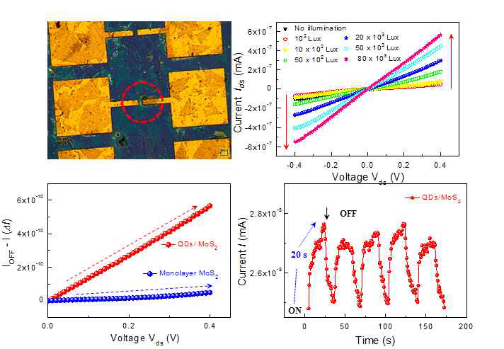Au-QDs/MoS2-Au 소자의 광반응성에 대한 전기적 측정