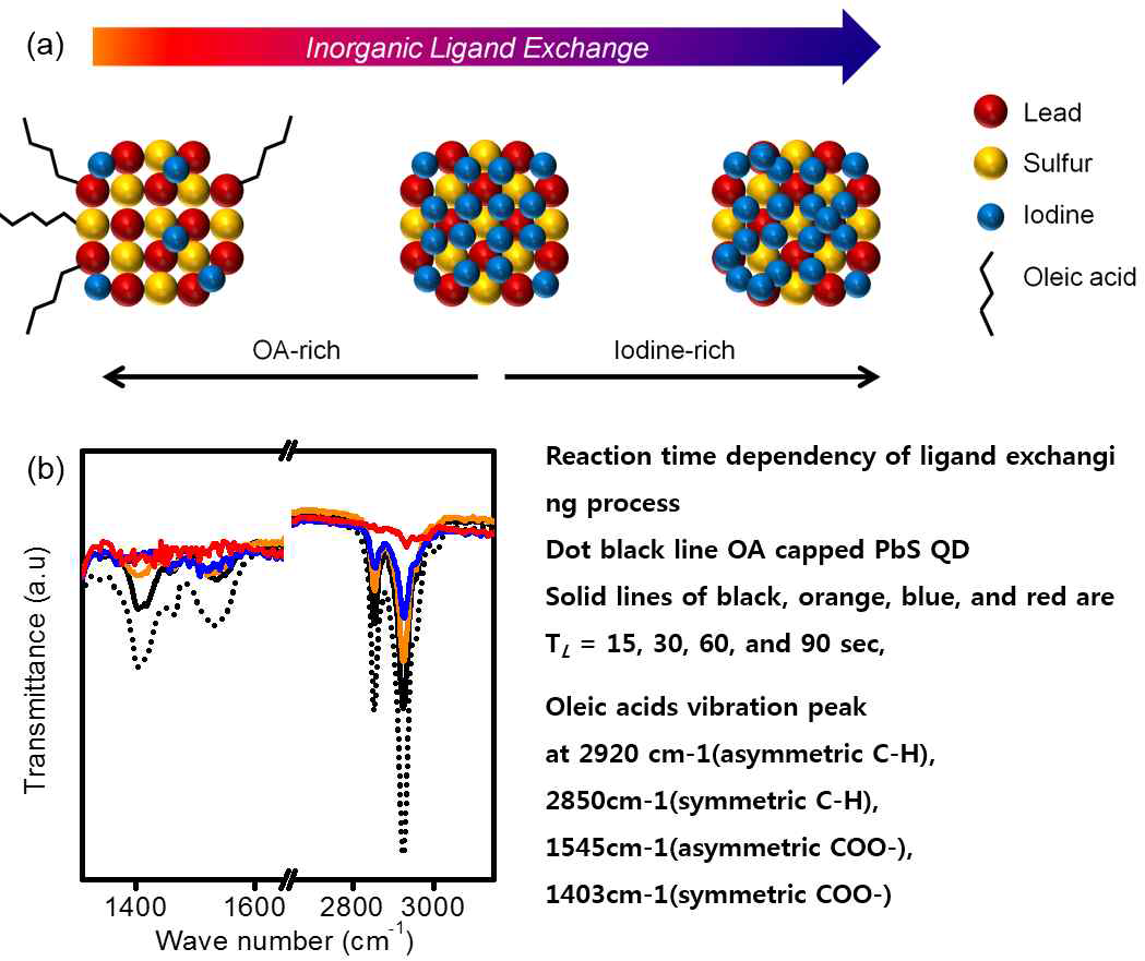 PbS 양자점의 ligand exchanging 공정 최적화