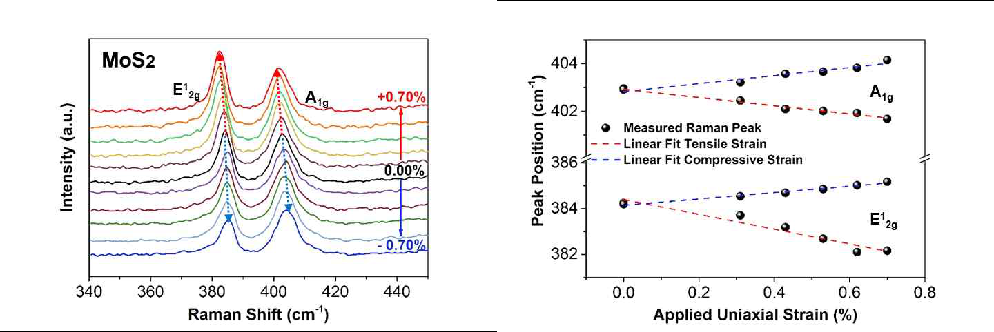 Tensile strain과 compressive strain에 따른 MoS2 라만 분석