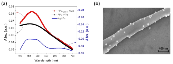 (a) 흡수스펙트럼, (b) 은나노입자 부착 PPy 나노선 전자현미경 사진