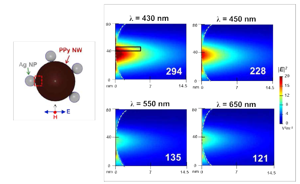 나노입자 부착 PPy 나노선에서의 입사파장 의존 전기장 세기 분포