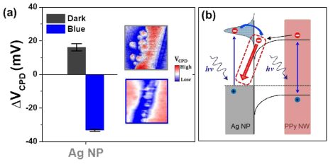 (a) 은 나노입자 부착 반도체 나노선 재료의 표면포텐셜 (VCPD)의 플라즈몬 여기 전 (dark), 후 (Blue)의 바 그래프와 각각의 표면포텐셜 사진. (b) 플라즈 몬 여기 시 예상 되어지는 전하 이동 모식도