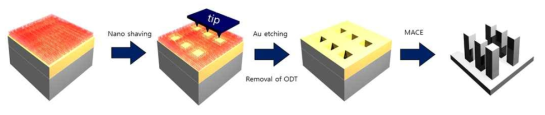 탐침기반리소그래피 기법을 활용한 실리콘 나노/마이크로 구조물 제작 공정 모식도