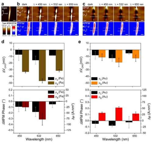 금 나노링 구조 도입 철 나노선의 (a) 원자간력현미경 사진, (b,c)외부자기장 방향과 플라즈몬 여기 파장 의존 자기력탐침현미경, 켈빈힘원자간력현미경 사진들. (d,e) 측정결과를 정리한 그래프들