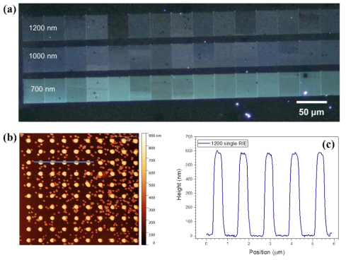 (a) 딥펜리소그래피 공정 회절격자 광학 사진 (dark field mode). (b) 1200 nm 간격회절격자의 원자간력현미경 사진. (c) 원자간력현미경 사진 단면 프로파일