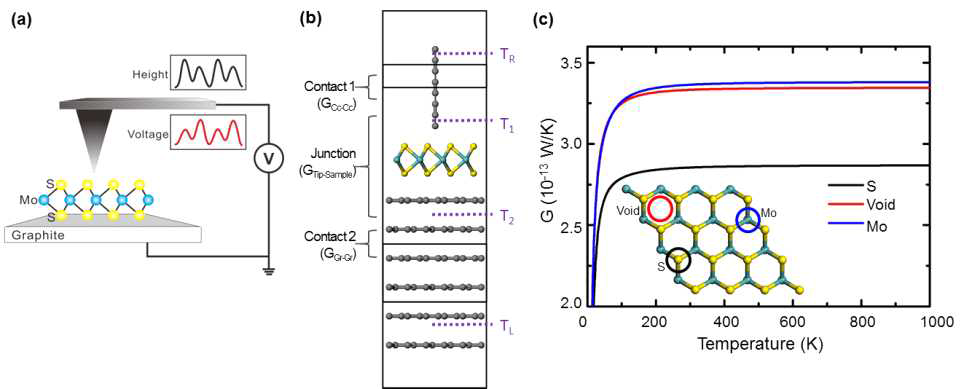 a) 몰리브덴 이황화물 샘플의 열전 이미지 현미경 모식도 (b) 포논 수송 계산을 위한 팁-샘플 접합 모델 (c) Mo, S, 육각형 중심 세 종류의 팁-샘플 접촉을 이해하기 위한 몰리브덴이황화물 표면의 평면도와 세 접촉에서의 열전도도