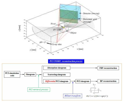 본 시뮬레이션에 사용된 3차원 위상대조 DBT 시스템의 scan 구조 및 영상재구성 과정의 모식도